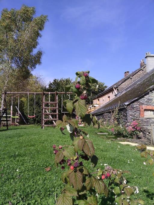Gite Les 7 Frenes Vaux-sur-Sure Exterior photo