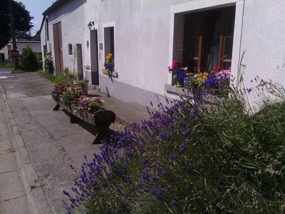 Gite Les 7 Frenes Vaux-sur-Sure Exterior photo